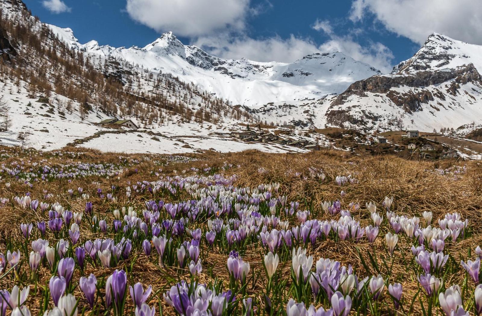 San Giuan, Ad Un Passo Dal Centro Διαμέρισμα Chiavenna Εξωτερικό φωτογραφία